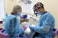 Лечение зубов по полису омс бесплатно иваново thumbnail